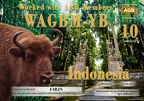F4BJN-WAGBM YB-10 AGB