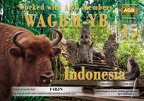 F4BJN-WAGBM YB-15 AGB