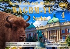 F4BJN-WAGBM YU-4 AGB
