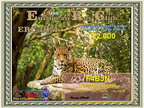 F4BJN-DIM-22000 ERC