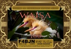F4BJN-WAISA-100 FT8DMC