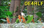 OE4HLF 20230424 1922 60M FT8