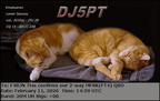 DJ5PT 20260211 1459 20M MFSK