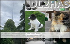DL2HAS 20260104 1400 20M FT8
