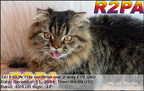 R2PA 20241211 0450 40M FT8