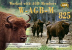 F4BJN-WAGBM-825 AGB