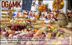 DG4MK 20231225 0935 20M MFSK