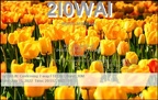 2I0WAI 20220715 2055 30M FT8