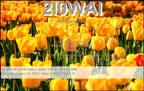 2I0WAI 20221121 0703 30M FT8